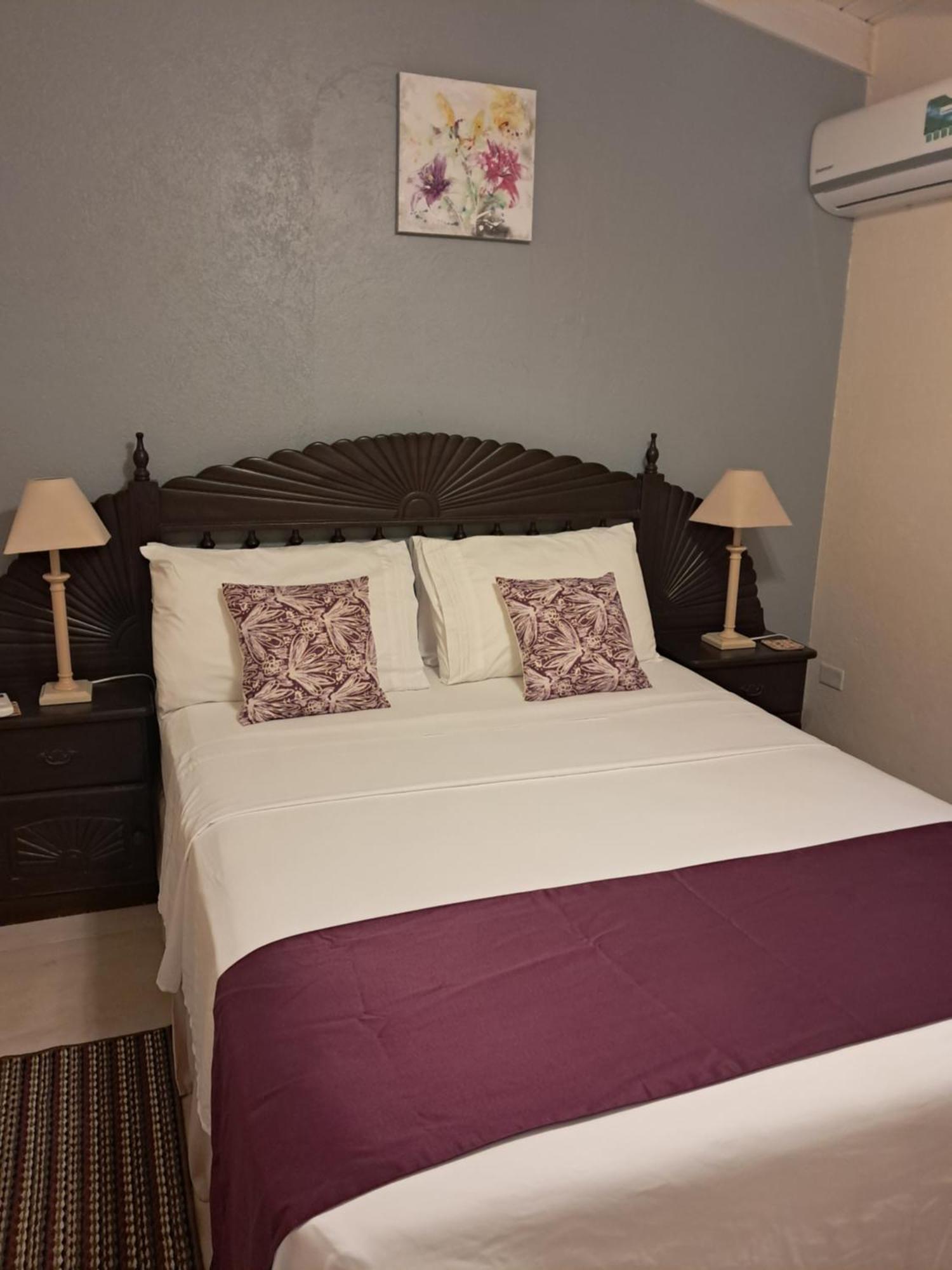 Michand Guest Apartments- Cozy One Or Two Bedroom- 5 Walk Minutes From Airport 10 Mins Drive To Oistins Or Beach Крайст-Черч Екстер'єр фото