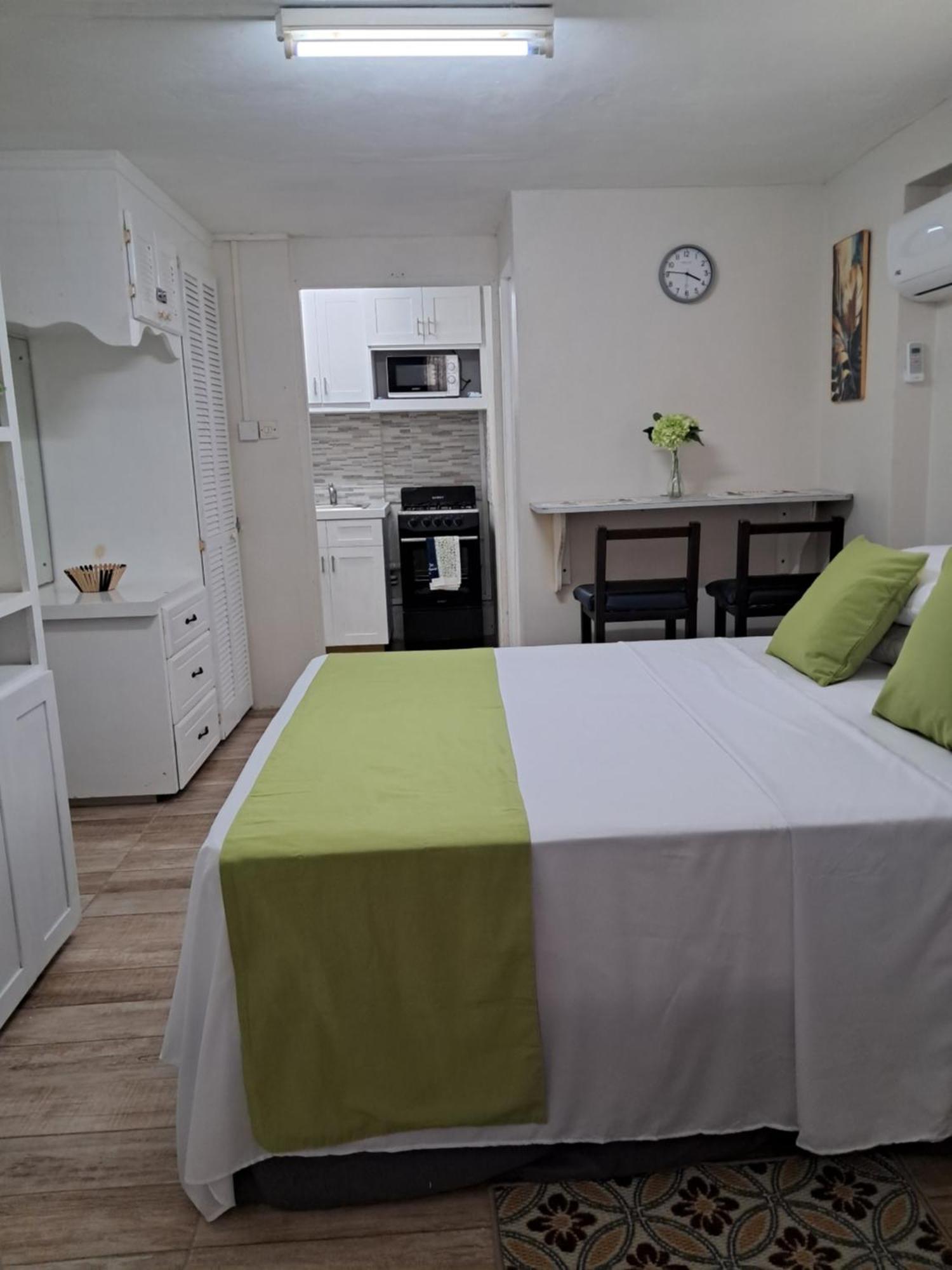 Michand Guest Apartments- Cozy One Or Two Bedroom- 5 Walk Minutes From Airport 10 Mins Drive To Oistins Or Beach Крайст-Черч Екстер'єр фото